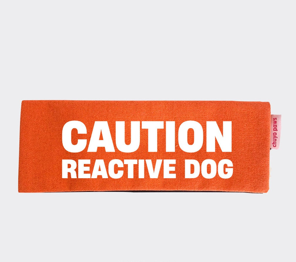 Caution: Reactive Dog